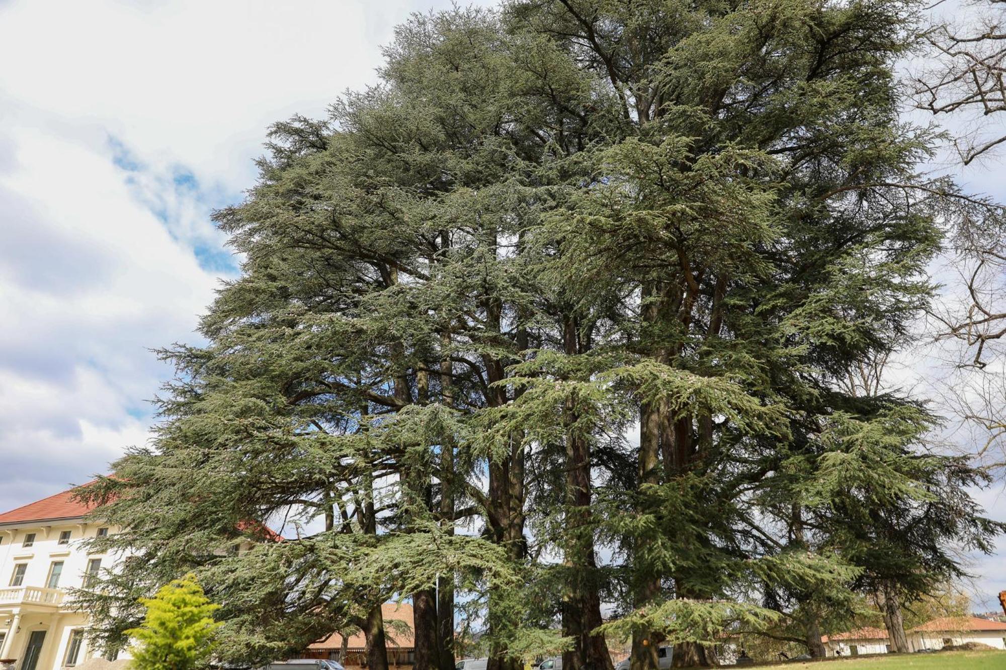 Sequoias Golf & Ressort Hotell Ruy-Montceau Eksteriør bilde